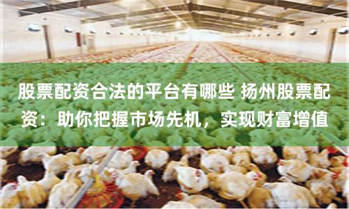 股票配资合法的平台有哪些 扬州股票配资：助你把握市场先机，实现财富增值