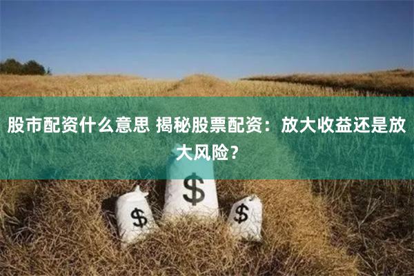 股市配资什么意思 揭秘股票配资：放大收益还是放大风险？