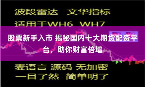 股票新手入市 揭秘国内十大期货配资平台，助你财富倍增