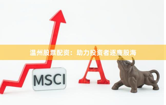 温州股票配资：助力投资者逐鹿股海